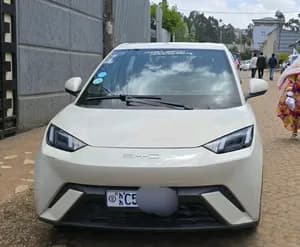 BYD Seagull 2023 Automatic