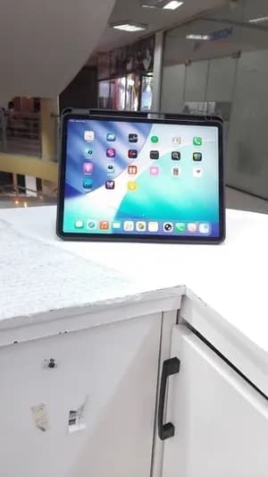 Apple iPad Pro 4th Gen 1TB