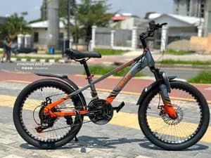 PHILLIPS Kids Bike 20 Inch