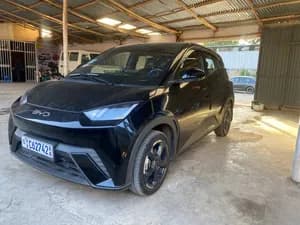 BYD Seagull 2024 Electric