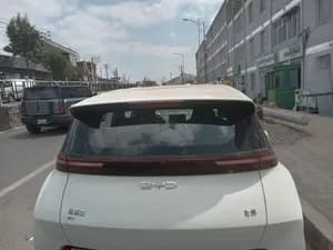 BYD Electric Car
