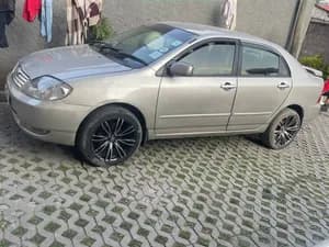 Corolla