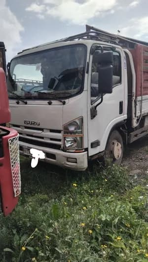 2017 Isuzu Cargo Truck