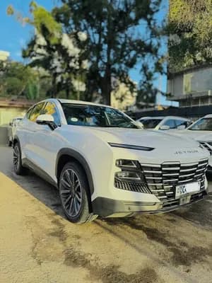 JeTour Dashing 12/2022