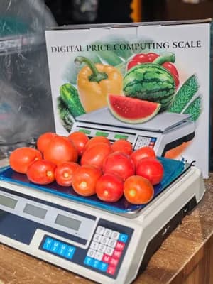 Digital Price Computing Scale