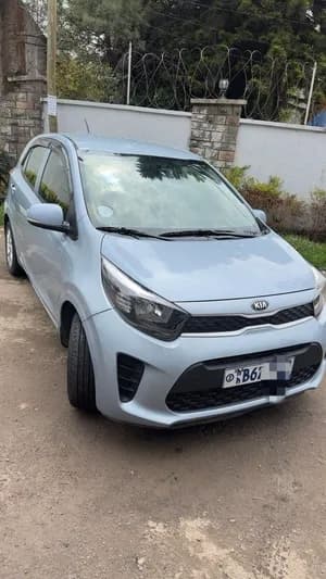 Kia Picanto 2021 Automatic 1.2L
