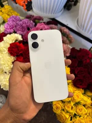 Apple iPhone 16 256GB