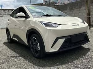 BYD Seagull 2024 Electric