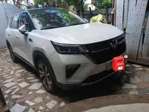 Wulling 2023 Automatic Rental