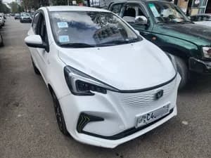 Changan Estar 2023 Electric