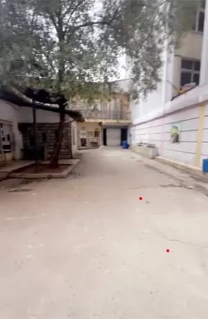 1000ካሬ