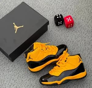 Air Jordan 11