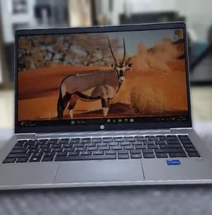 HP ProBook 440 G8 Laptop