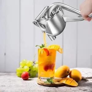 Manual Fruit Juice Press