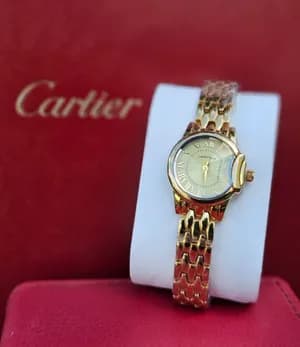 Ladies Brand watches