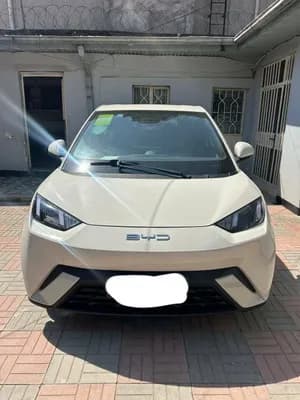 BYD Seagull 2024 Electric Automatic