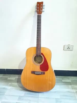 Ibanez Box Guitar