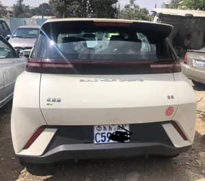 BYD segull