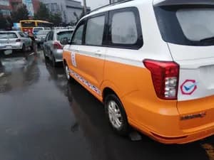 Wuling 2024 Manual