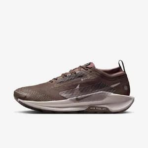 Nike Goretex Shoes