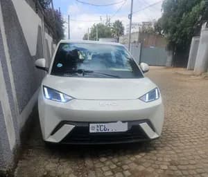 2025 BYD Seagull Electric Hatchback