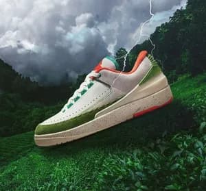 Air Jordan 2 Retro Titan Low