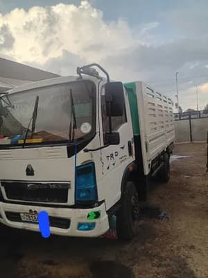 Cargo Truck 2020 45 Quintal