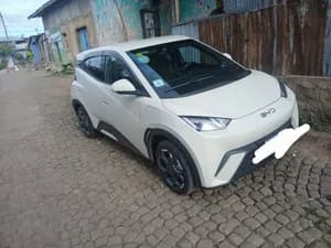 BYD Seagull 2025
