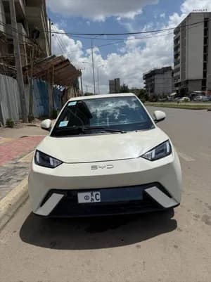 BYD Segull