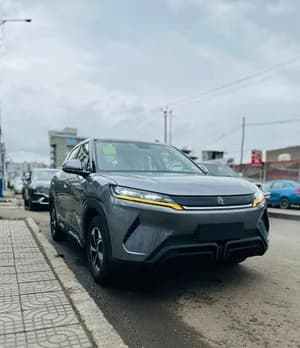 BYD Yuan Up 2024