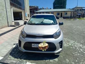 Kia Picanto 2021 1200cc used