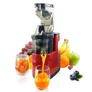 SuTai ST-1685 Slow Juicer 150W