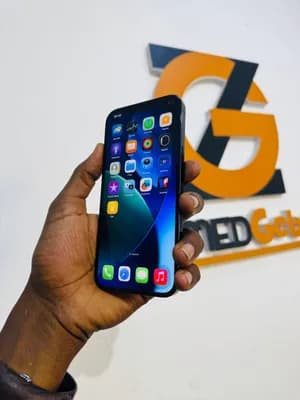 iPhone 12 Pro Max 256GB