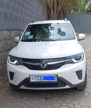 Dongfeng 2021 Electric Car
