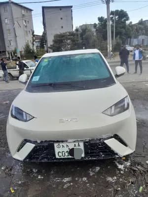 BYD Seagull 2024