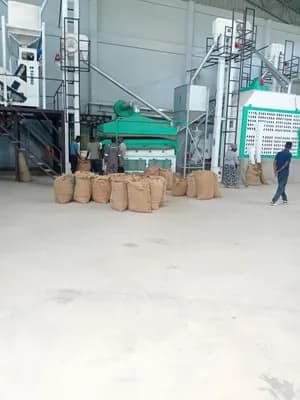 Operational Coffee Factory in Gelan