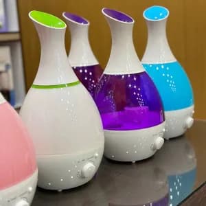 Multi-Color Electric Humidifier
