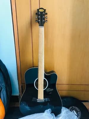 Siltron Semi Acoustic Electric Guitar