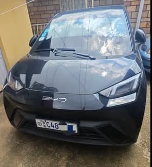 2023 BYD Seagull 14000 km
