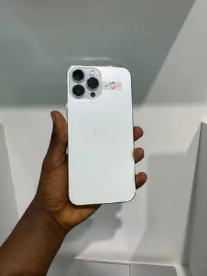 iPhone 13 Pro Max 256GB