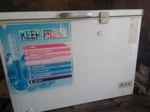 Crown 500 Liter Chest Freezer