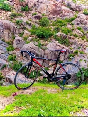Brand New Phoenix R10 Road Bike