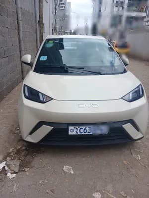 BYD Seagull 2025