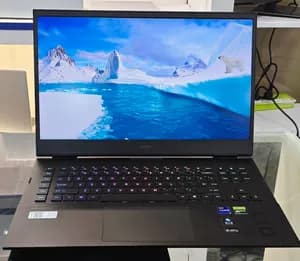 HP Omen i9 RTX 4060 Gaming Laptop