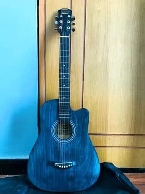 Siltron Acoustic Guitar with Accessories