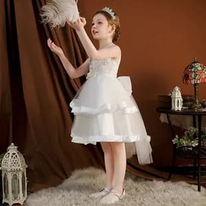 Kids Girl Lace Embroidered Party Dress