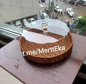 Enjera and Bread Box