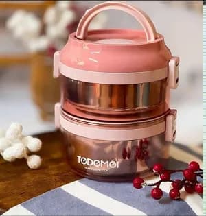 Tedmei 2 Layer Stainless Steel Lunch Box