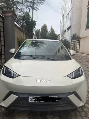 BYD Seagull 2024 Electric Car