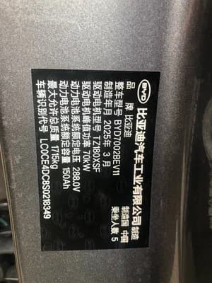 BYD E2